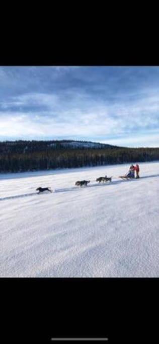 Northern Light Huts - Paradise Lapland Kiruna Ngoại thất bức ảnh